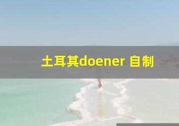 土耳其doener 自制